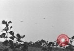Standbild 101 Airborne Division in den Niederlanden Sohn Niederlande, 1944, aus Sekunde 27 historischem Filmmaterial Videoclip 65675076959