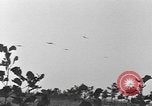 Standbild 101 Airborne Division in den Niederlanden Sohn Niederlande, 1944, aus Sekunde 28 historischem Filmmaterial Videoclip 65675076959