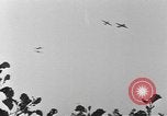 Standbild 101 Airborne Division in den Niederlanden Sohn Niederlande, 1944, aus Sekunde 30 historischem Filmmaterial Videoclip 65675076959