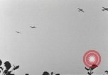 Standbild 101 Airborne Division in den Niederlanden Sohn Niederlande, 1944, aus Sekunde 32 historischem Filmmaterial Videoclip 65675076959