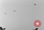 Standbild 101 Airborne Division in den Niederlanden Sohn Niederlande, 1944, aus Sekunde 33 historischem Filmmaterial Videoclip 65675076959