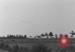 Standbild 101 Airborne Division in den Niederlanden Sohn Niederlande, 1944, aus Sekunde 36 historischem Filmmaterial Videoclip 65675076959