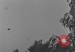 Standbild 101 Airborne Division in den Niederlanden Sohn Niederlande, 1944, aus Sekunde 38 historischem Filmmaterial Videoclip 65675076959