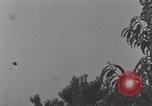 Standbild 101 Airborne Division in den Niederlanden Sohn Niederlande, 1944, aus Sekunde 39 historischem Filmmaterial Videoclip 65675076959