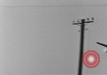 Standbild 101 Airborne Division in den Niederlanden Sohn Niederlande, 1944, aus Sekunde 41 historischem Filmmaterial Videoclip 65675076959
