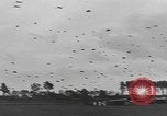 Image of American soldiers Holland Netherlands, 1944, second 9 stock footage video 65675076968