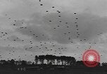 Image of American soldiers Holland Netherlands, 1944, second 16 stock footage video 65675076968