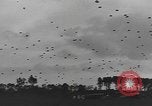 Image of American soldiers Holland Netherlands, 1944, second 17 stock footage video 65675076968