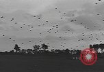Image of American soldiers Holland Netherlands, 1944, second 18 stock footage video 65675076968