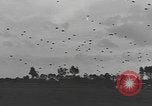 Image of American soldiers Holland Netherlands, 1944, second 19 stock footage video 65675076968
