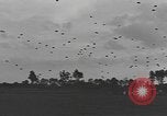 Image of American soldiers Holland Netherlands, 1944, second 20 stock footage video 65675076968