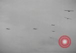 Image of American soldiers Holland Netherlands, 1944, second 56 stock footage video 65675076968