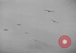 Image of American soldiers Holland Netherlands, 1944, second 58 stock footage video 65675076968