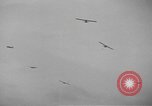 Image of American soldiers Holland Netherlands, 1944, second 59 stock footage video 65675076968