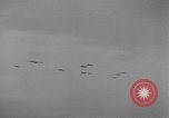 Image of American soldiers Holland Netherlands, 1944, second 61 stock footage video 65675076968