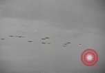 Image of American soldiers Holland Netherlands, 1944, second 62 stock footage video 65675076968