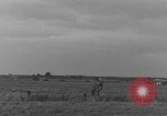 Image of American aircraft Holland Netherlands, 1944, second 9 stock footage video 65675076970