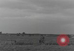 Image of American aircraft Holland Netherlands, 1944, second 10 stock footage video 65675076970