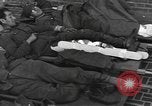 Immagine di Feriti tedesco e soldati americani Nijmegen Paesi Bassi, 1944, secondo 30 filmato di repertorio 65675076971