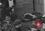 Immagine di Feriti tedesco e soldati americani Nijmegen Paesi Bassi, 1944, secondo 41 filmato di repertorio 65675076971
