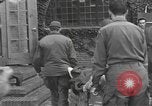 Immagine di Soldati americani Nijmegen Paesi Bassi, 1944, secondo 42 filmato di repertorio 65675076972