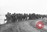 Image La 101e Division aéroportée Holland Hollande, 1944, de la seconde 1 séquences d'archives historiques vidéo 65675076982