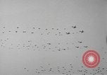 Image of Eisenhower and Churchill visit 101st Airborne Division Welford Berkshire England United Kingdom, 1944, second 42 stock footage video 65675076989