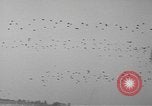Image of Eisenhower and Churchill visit 101st Airborne Division Welford Berkshire England United Kingdom, 1944, second 47 stock footage video 65675076989