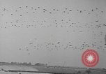 Image of Eisenhower and Churchill visit 101st Airborne Division Welford Berkshire England United Kingdom, 1944, second 48 stock footage video 65675076989