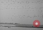 Image of Eisenhower and Churchill visit 101st Airborne Division Welford Berkshire England United Kingdom, 1944, second 49 stock footage video 65675076989