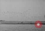 Image of Eisenhower and Churchill visit 101st Airborne Division Welford Berkshire England United Kingdom, 1944, second 51 stock footage video 65675076989