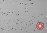 Image of Winston Churchill and Generals Eisenhower and Bradley visit 101st Airb Welford Berkshire England United Kingdom, 1944, second 24 stock footage video 65675076990