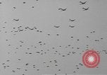 Image of Winston Churchill and Generals Eisenhower and Bradley visit 101st Airb Welford Berkshire England United Kingdom, 1944, second 25 stock footage video 65675076990