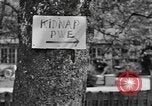 Image of 101st Airborne Division Germany, 1945, second 30 stock footage video 65675076994