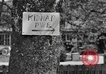 Image of 101st Airborne Division Germany, 1945, second 31 stock footage video 65675076994