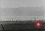 Image de prisonniers britanniques Normandie France, 1944, de la seconde 23 séquences d'archives historiques vidéo 65675077010