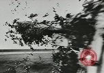 Image des soldats allemands Normandie France, 1944, de la seconde 33 séquences d'archives historiques vidéo 65675077012