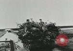 Image des soldats allemands Normandie France, 1944, de la seconde 35 séquences d'archives historiques vidéo 65675077012