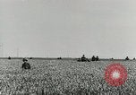 Image of German forces defending against Allied invasion  Normandy France, 1944, second 3 stock footage video 65675077013