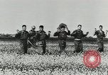 Image of German forces defending against Allied invasion  Normandy France, 1944, second 25 stock footage video 65675077013