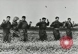 Image of German forces defending against Allied invasion  Normandy France, 1944, second 27 stock footage video 65675077013
