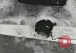 Image of German forces defending against Allied invasion  Normandy France, 1944, second 58 stock footage video 65675077013