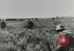 Image des soldats allemands Normandie France, 1944, de la seconde 12 séquences d'archives historiques vidéo 65675077014