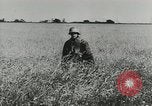 Image des soldats allemands Normandie France, 1944, de la seconde 14 séquences d'archives historiques vidéo 65675077014