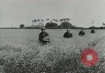 Image des soldats allemands Normandie France, 1944, de la seconde 16 séquences d'archives historiques vidéo 65675077014
