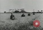 Image des soldats allemands Normandie France, 1944, de la seconde 17 séquences d'archives historiques vidéo 65675077014