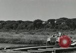 Image 91stReconnaissance Livourne Italie, 1944, de la seconde 59 séquences d'archives historiques vidéo 65675077016