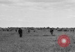 Image 40e Division Bamban Luzon aux Philippines, 1945, de la seconde 46 séquences d'archives historiques vidéo 65675077019