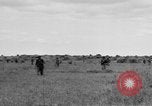 Image 40e Division Bamban Luzon aux Philippines, 1945, de la seconde 47 séquences d'archives historiques vidéo 65675077019