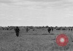 Image 40e Division Bamban Luzon aux Philippines, 1945, de la seconde 48 séquences d'archives historiques vidéo 65675077019